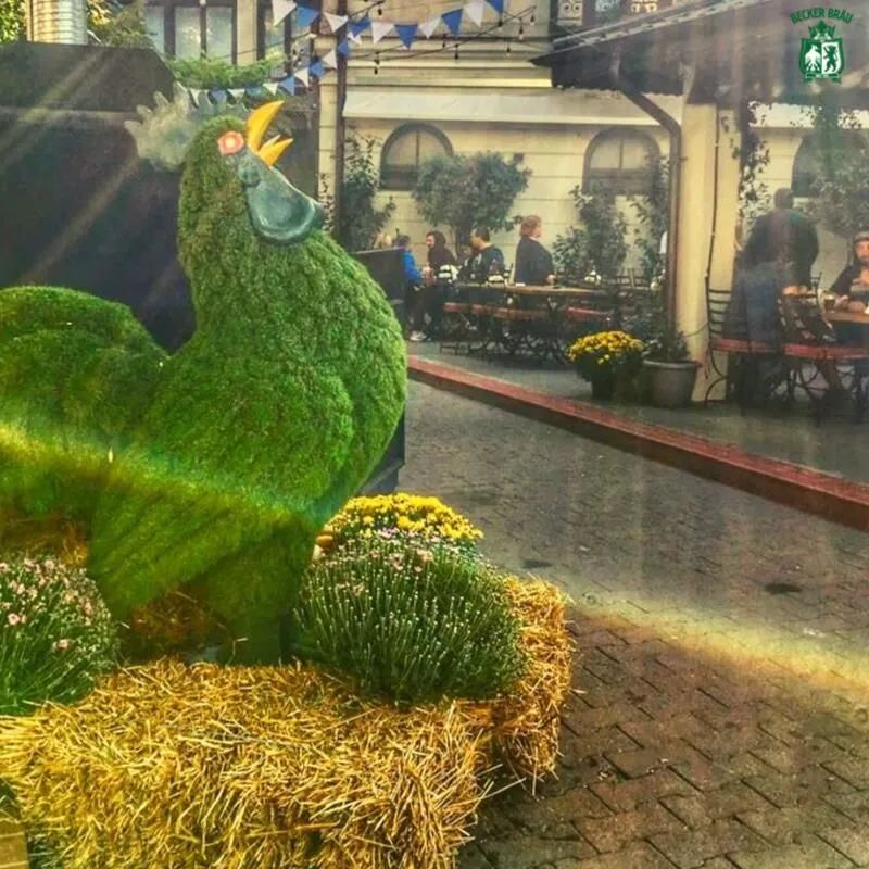 Afacere 6 imagine BECKER BRÄU