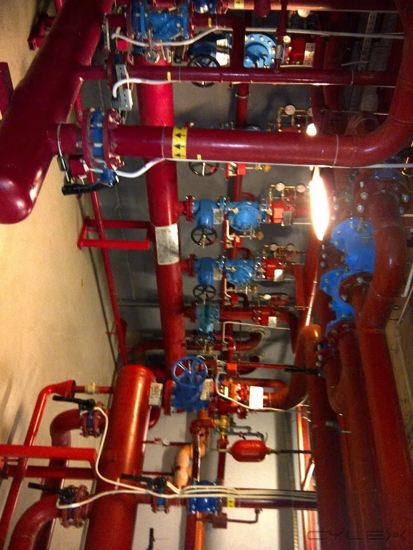 Afacere 3 imagine BLUE FIRE SOLUTIONS SRL