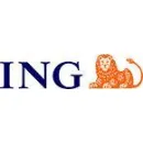 ING OFFICE IANCULUI Servicii legale şi financiare în Bucureşti
