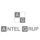 SC ANTEL SRL Servicii profesionale în Vaslui
