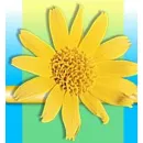 CABINET DENISA MEDICA ARAD Specialişti în remedii naturale în Arad