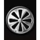 PROFESIONAL SERVICE IASI