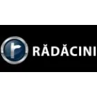 RADACINI MOTORS - SHOWROOM SI SERVICE BRASOV