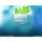 DETOLIT COMPANY