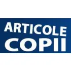 ARTICOLE COPII