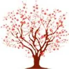 SC CHERRYS GARDEN SRL