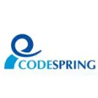 CODESPRING SRL