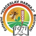 GRUPUL SCOLAR AGRICOL VIACESLAV HARNAJ