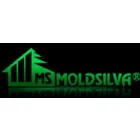 MOLDSILVA SA