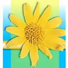 CABINET DENISA MEDICA ARAD